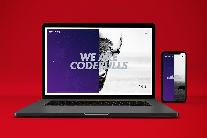 Responsive web design