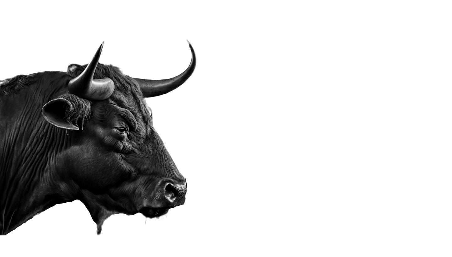 Inicio 1 hero bull