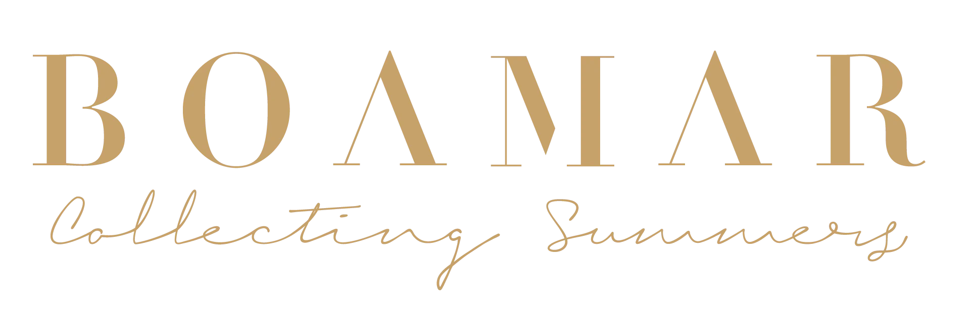 Logo de Boamar